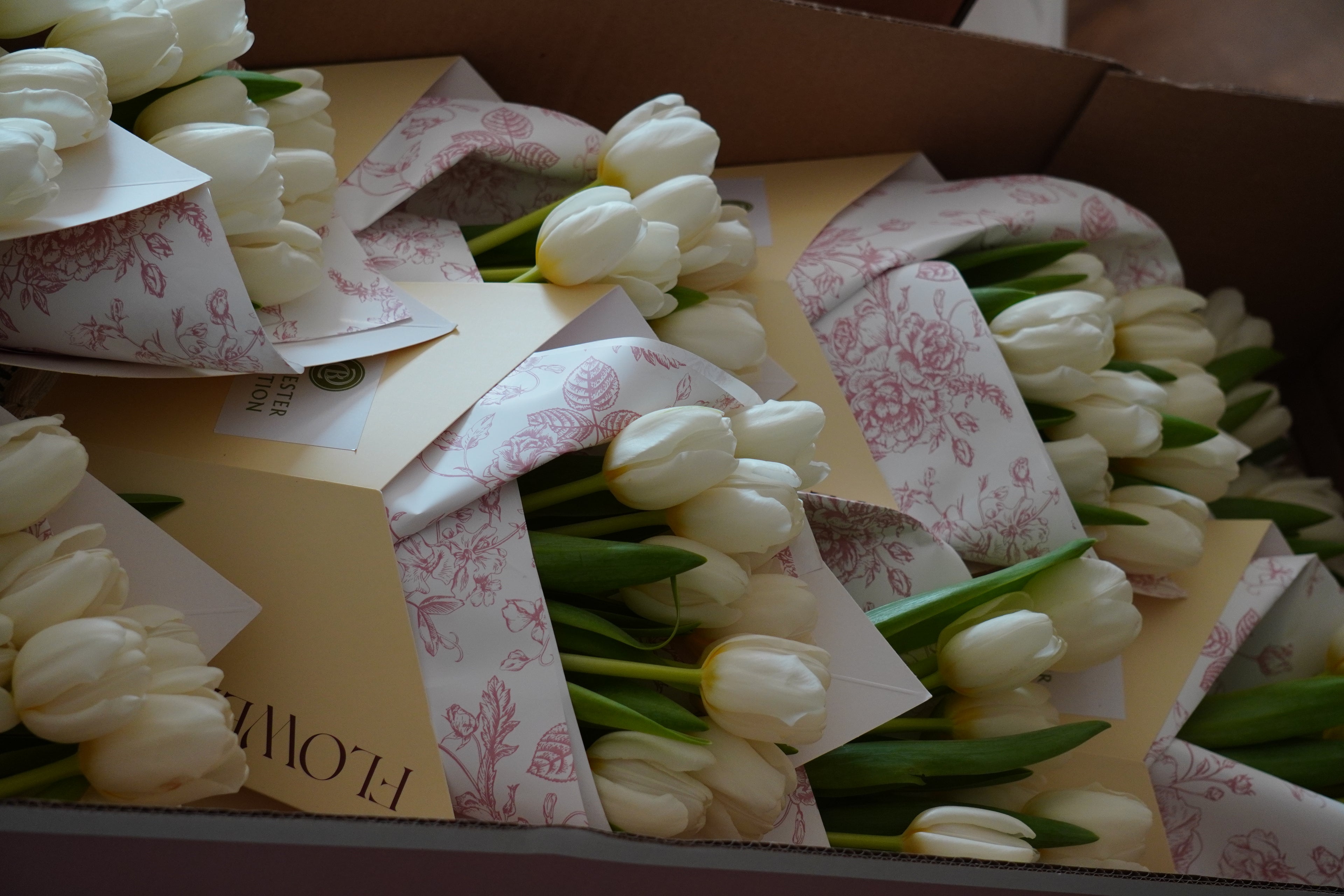 Floral baby’s ( REGALOS FLORALES CORPORATIVOS & EVENTOS (5,10,15,20)