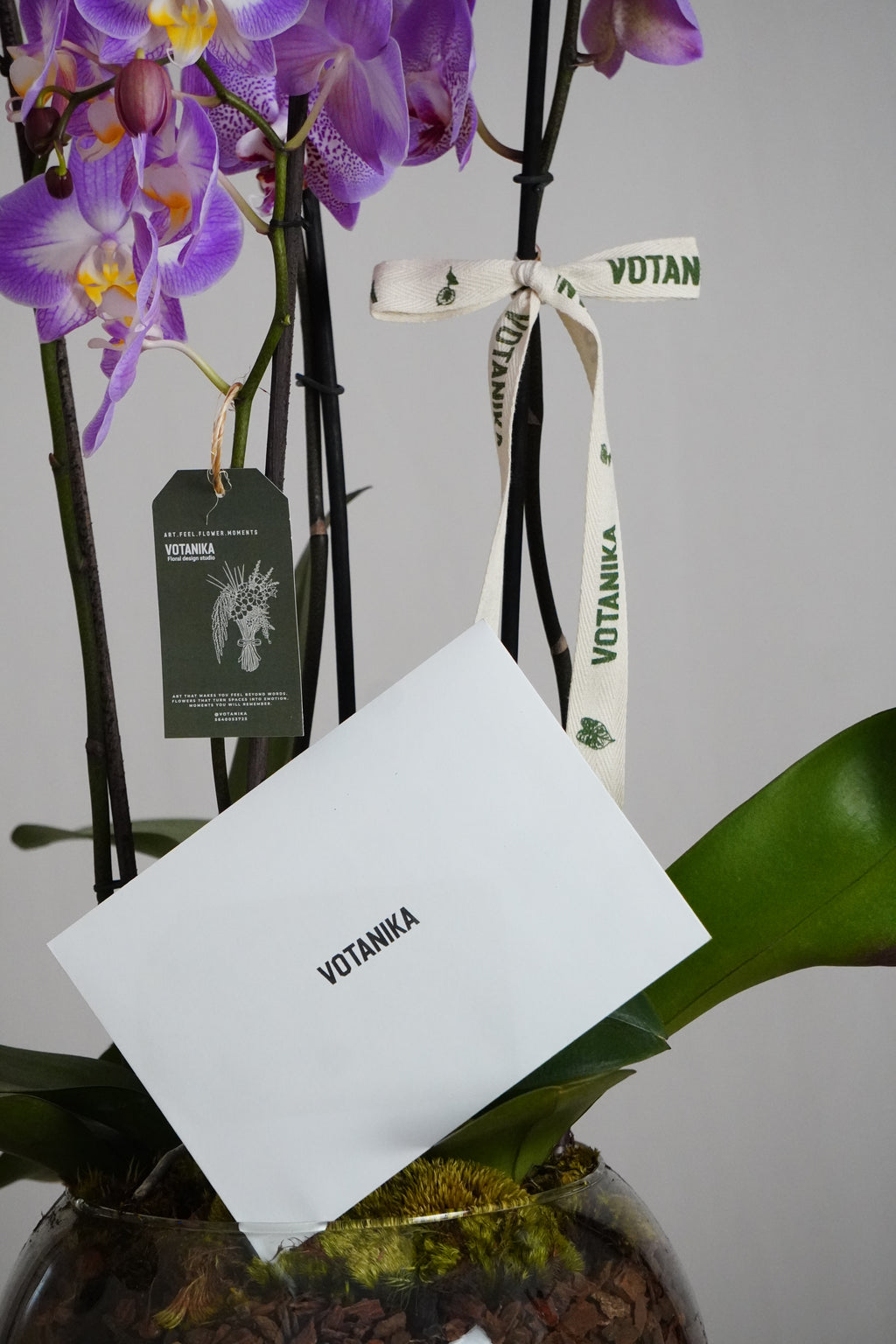 Orquidea’s