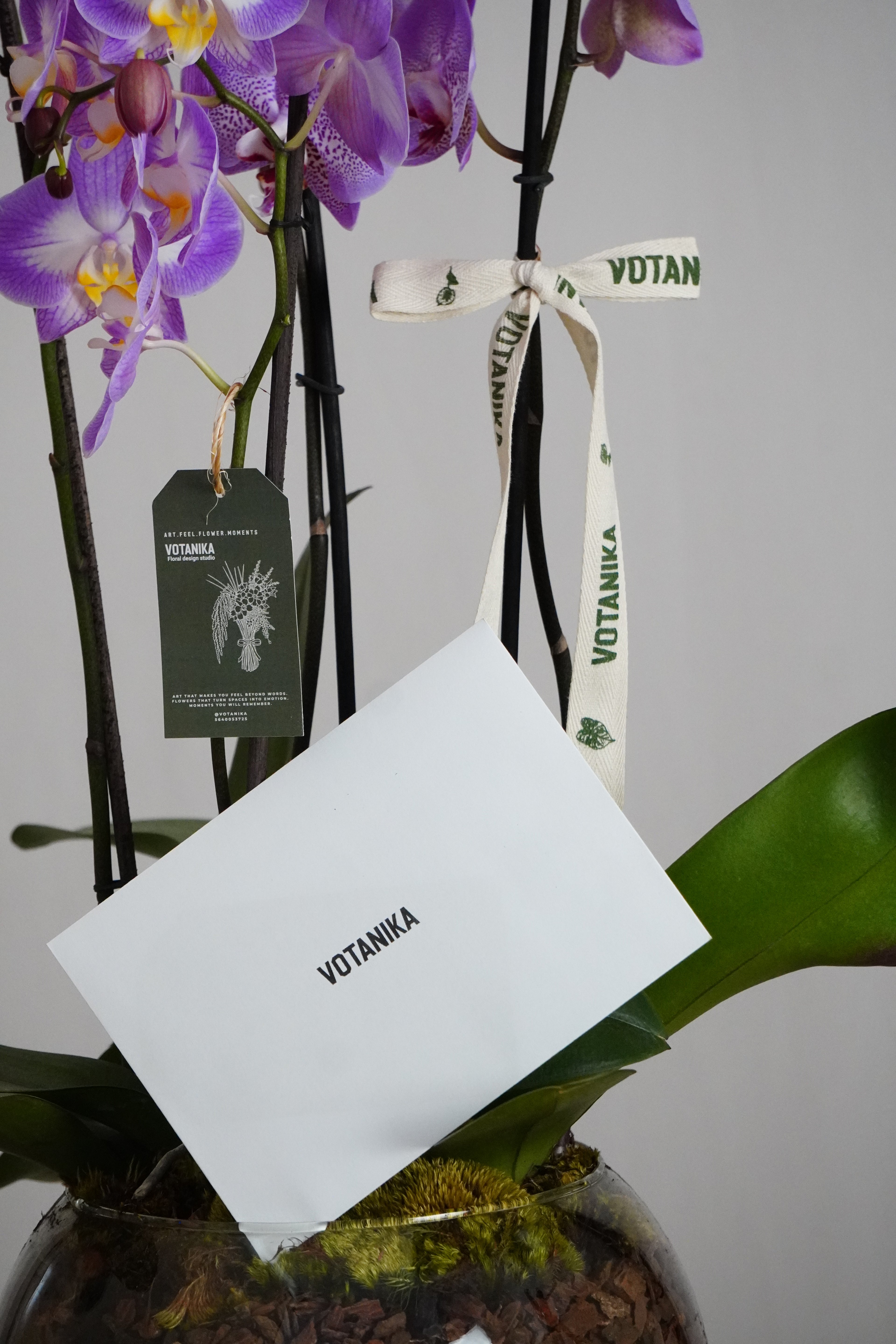 Orquidea’s